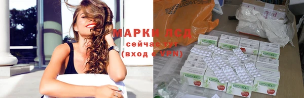 индика Зуевка