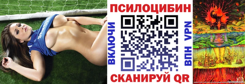 даркнет сайт  Вуктыл  Галлюциногенные грибы GOLDEN TEACHER 